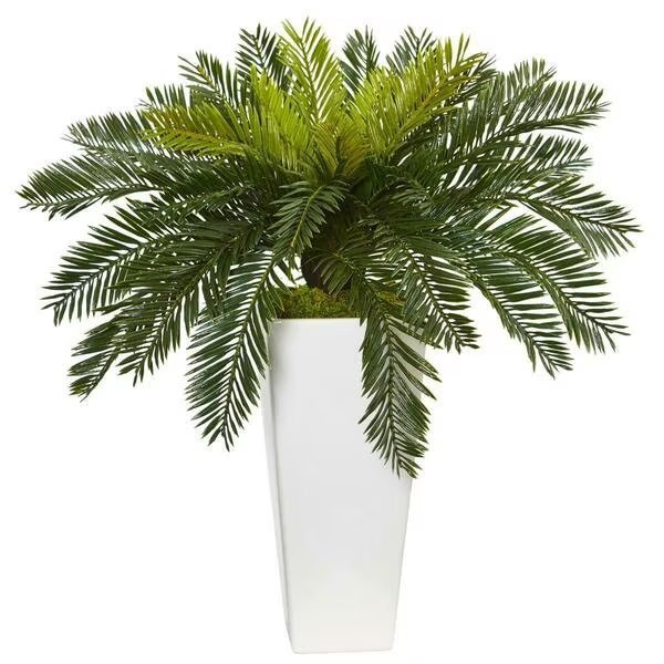 Cycus in White Planter, Nearly Natural, Mfr#: 6951